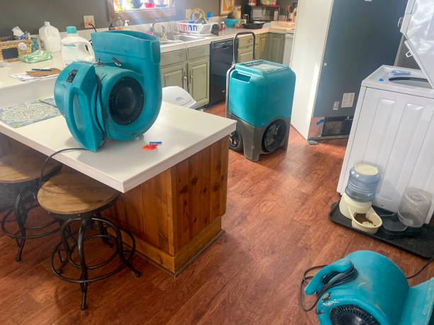Best Residential water damage restoration  in Winchester, OH