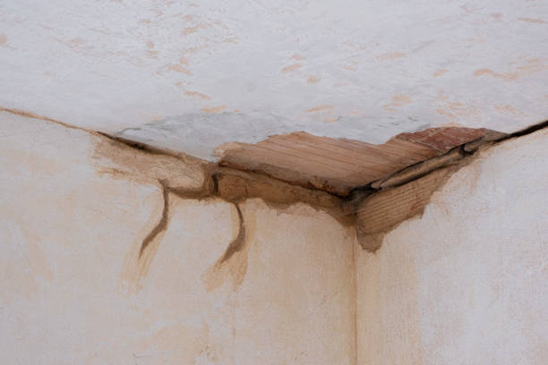  Winchester, OH Water damage restoration Pros