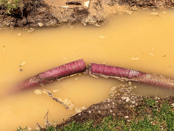 Best Commercial water damage restoration  in Winchester, OH