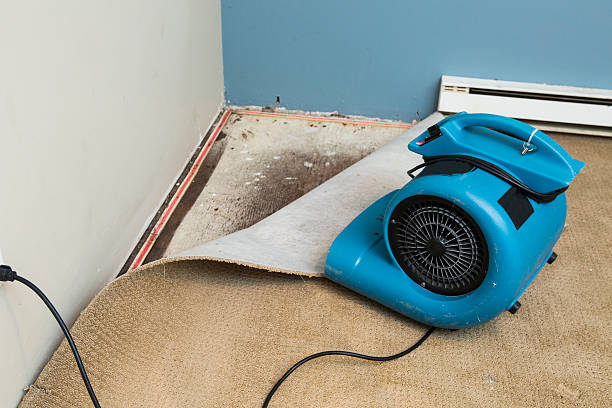 Water damage restoration insurance claims in Winchester, OH