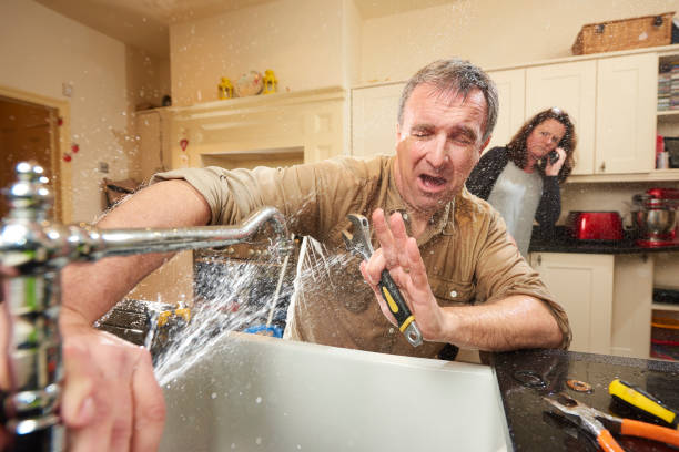 Best Flooded house restoration  in Winchester, OH